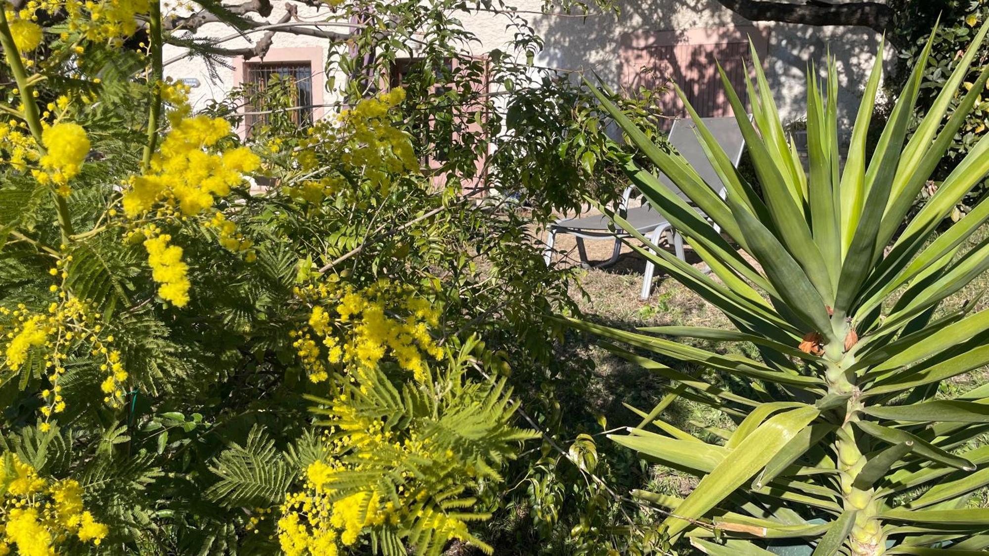 Large Private Garden, Quiet 2-Bedroom Apartment, Air Conditioning, Wifi, Parking Cassis Dış mekan fotoğraf